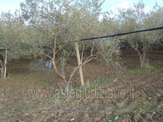 Terreno in vendita a Riesi, Caltanissetta