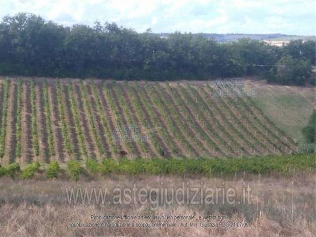 Terreno in vendita a Rosciano, Abruzzo