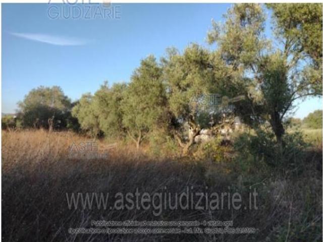 Terreno in vendita a Vasto, Chieti