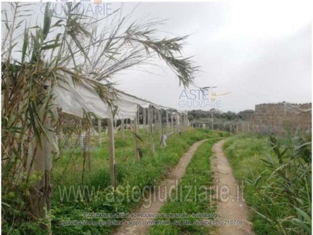 Terreno in vendita a Santa Croce Camerina, Sicilia