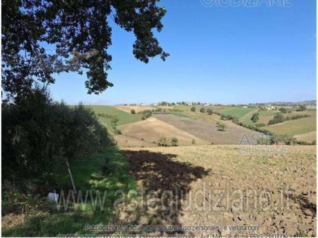 Terreno in vendita a Montefalco, Perugia