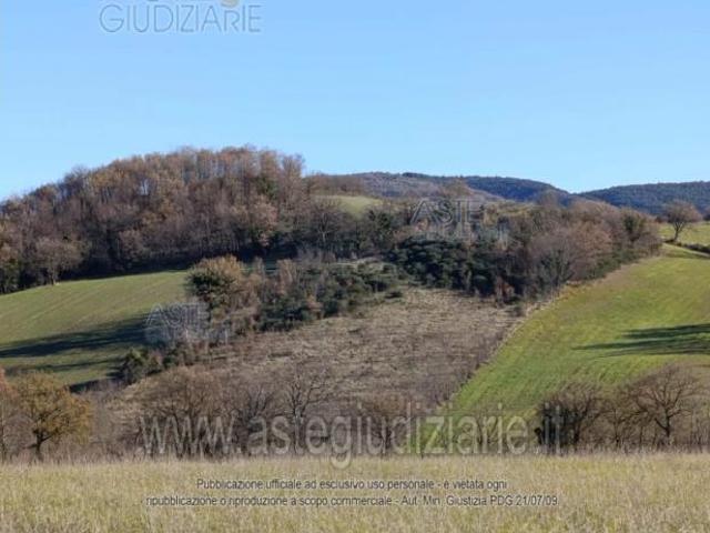 Terreno in vendita a Sassoferrato, Ancona
