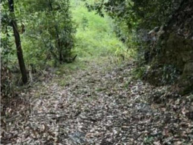 Terreno in vendita a Serravalle Pistoiese, Pistoia
