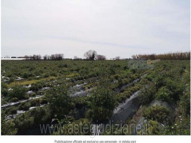 Terreno in vendita a Pontecagnano, Campania