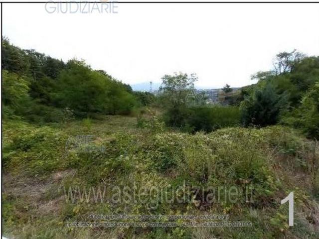 Terreno in vendita a Marche, Ancona