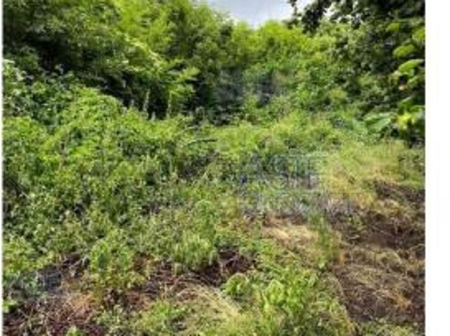 Terreno in vendita a Visciano, Campania