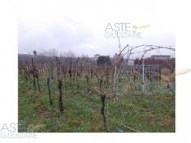 Terreno in vendita a Cormons, Friuli-Venezia Giulia