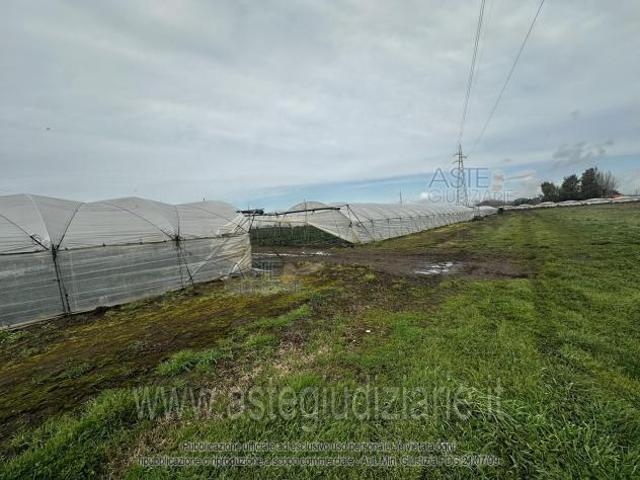 Terreno in vendita a San Cipriano d'Aversa, Caserta