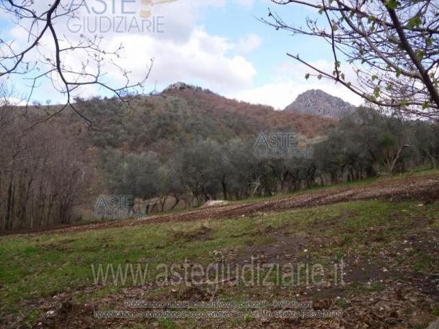 Terreno in vendita a Campagna, Campania