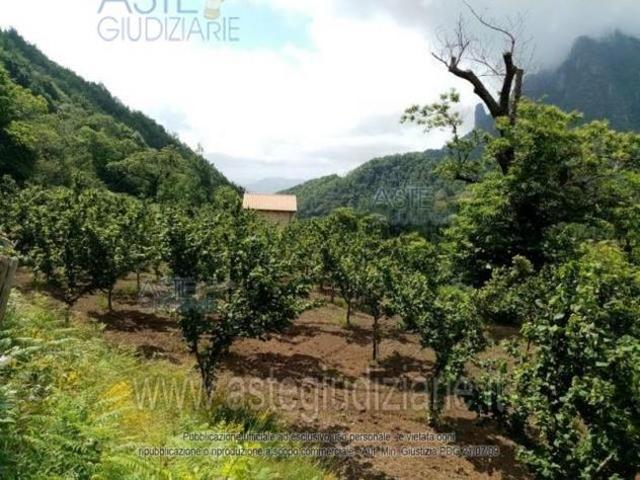 Terreno in vendita a Giffoni Valle Piana, Campania