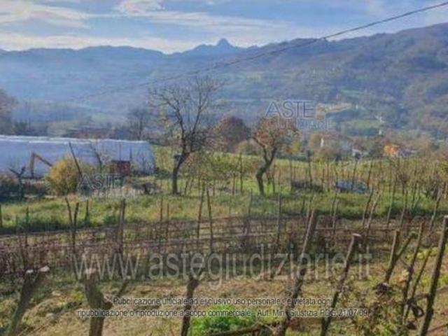 Terreno in vendita a Unione Comuni Garfagnana, Pieve Fosciana