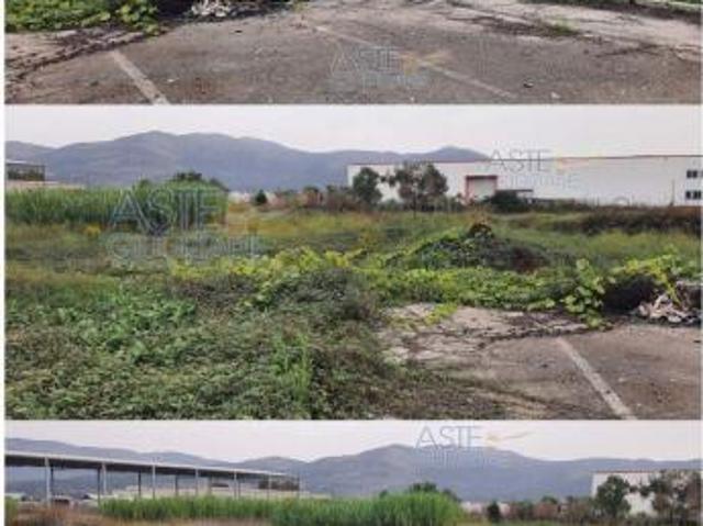Terreno in vendita a Pontinia, Latina