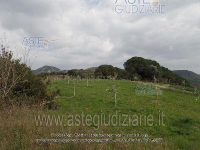 Terreno in vendita a San Vincenzo, Livorno