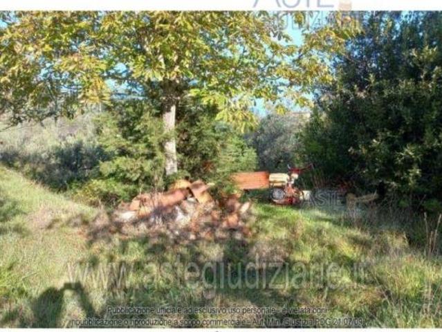 Terreno in vendita a Quarrata, Toscana