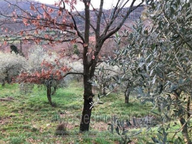 Terreno in vendita a Serravalle Pistoiese, Toscana