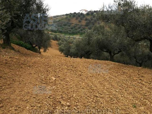Terreno in vendita a Pianella, Abruzzo
