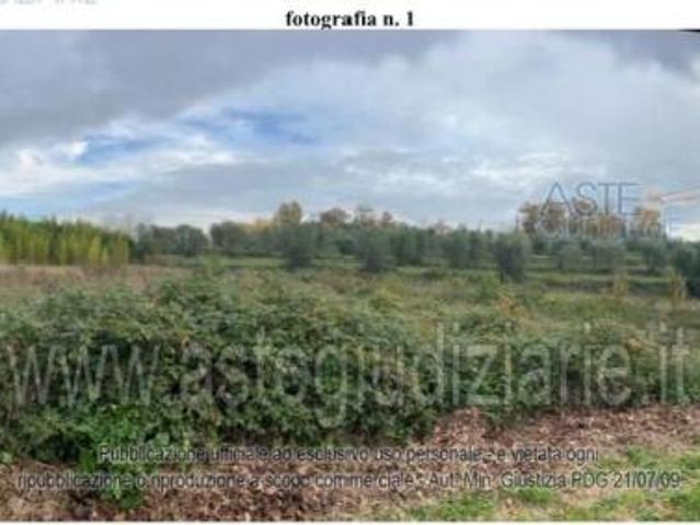 Terreno in vendita a Pieve A Nievole, Toscana