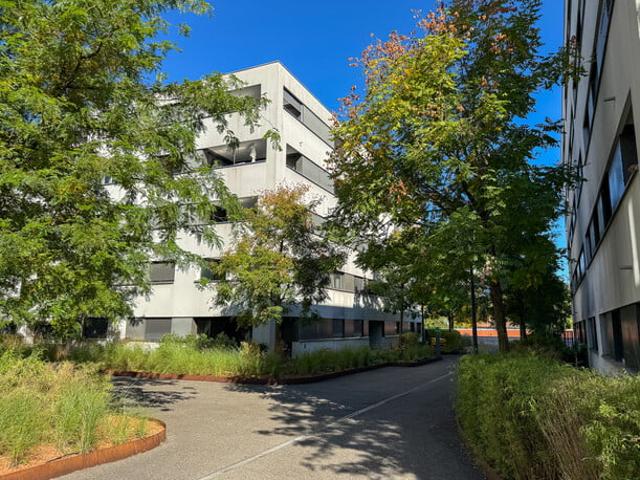 Apartment kaufen in Dornbirn, Vorarlberg