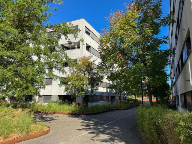 Apartment kaufen in Dornbirn, Vorarlberg