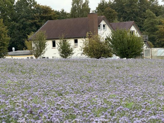 Haus kaufen in Herford, Nordrhein-Westfalen