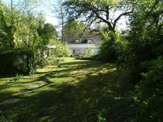 Haus kaufen in Sossenheim, Sachsenhausen