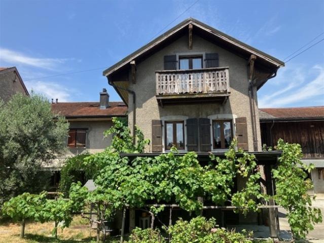 Einfamilienhaus kaufen in Chessel, Waadt