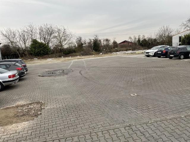 Erdgeschosswohnung kaufen in Oppenheim, Rheinland-Pfalz