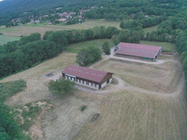 Maison vente à Gex, Saint-jean-de-gonville