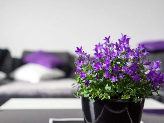 Haus kaufen in Hohenlimburg, Hagen