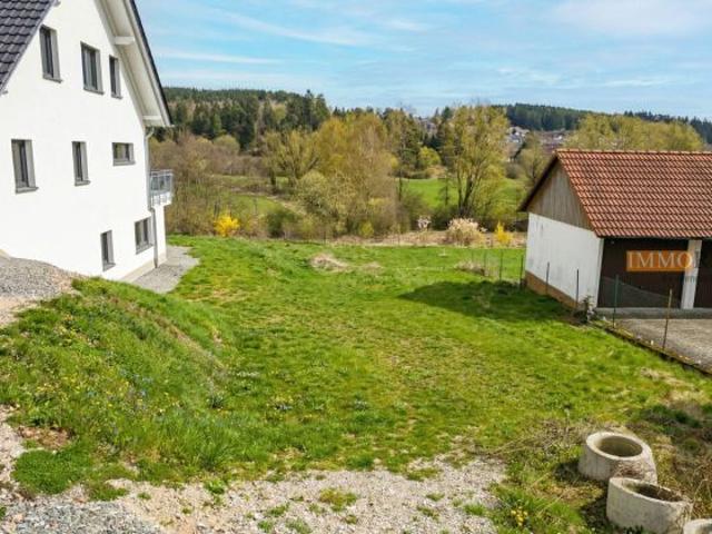 Erdgeschosswohnung kaufen in Donaueschingen, Baden-Württemberg