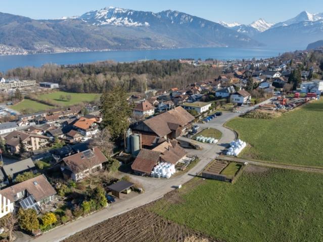 Grundstück kaufen in Gwatt, Thun, Bern