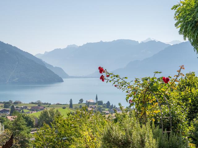 Haus kaufen in Spiez, Bern