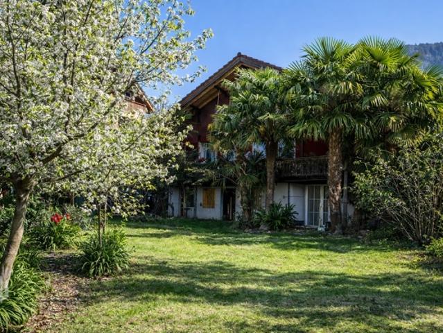 Mehrfamilienhaus kaufen in Sigriswil, Bern