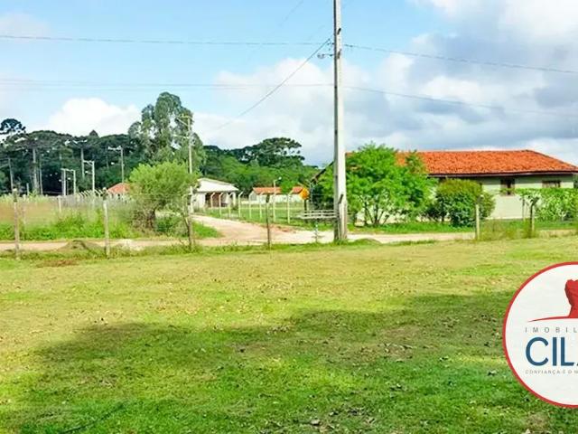 Apartamento aluguel em Região Geográfica Imediata de Curitiba, Região Metropolitana de Curitiba