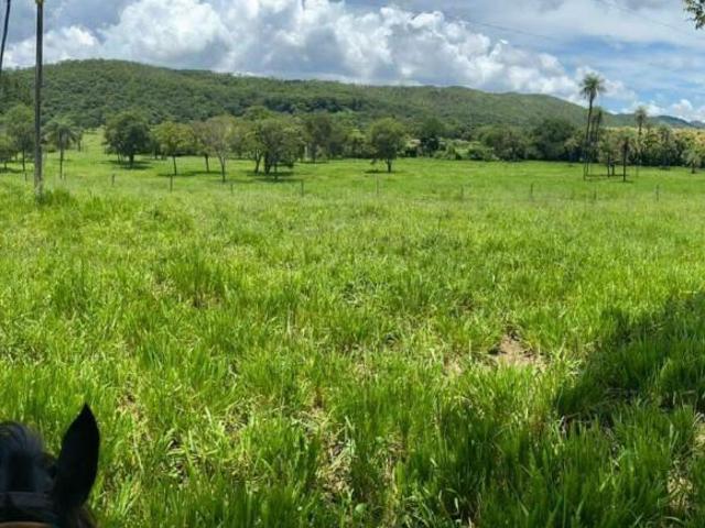 Sítio e chácara venda em Região Geográfica Imediata de Águas Lindas de Goiás, Região Integrada de Desenvolvimento do Distrito Federal e Entorno