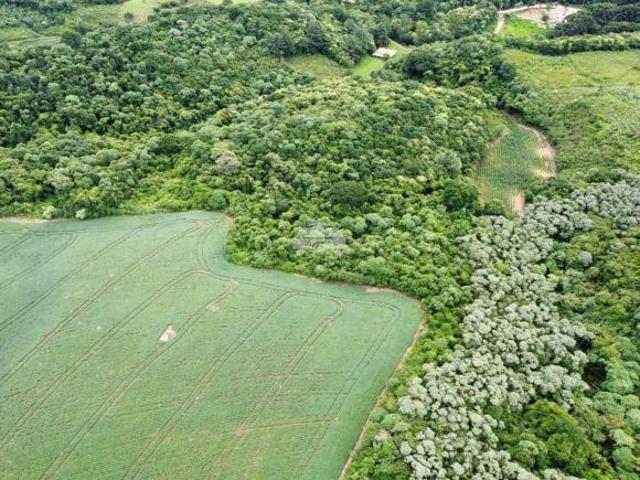 Sítio e chácara venda em Região Geográfica Imediata de Curitiba, Região Metropolitana de Curitiba