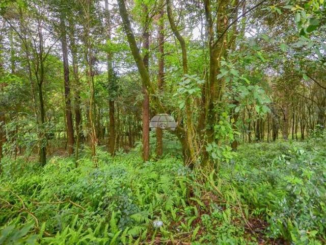 Terreno venda em Região Geográfica Imediata de Curitiba, Região Metropolitana de Curitiba