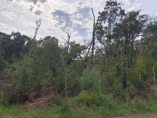 Terreno venda em Região Geográfica Imediata de Caxias do Sul, Canela