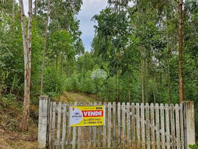 Sítio e chácara venda em Região Geográfica Imediata de Curitiba, Região Metropolitana de Curitiba