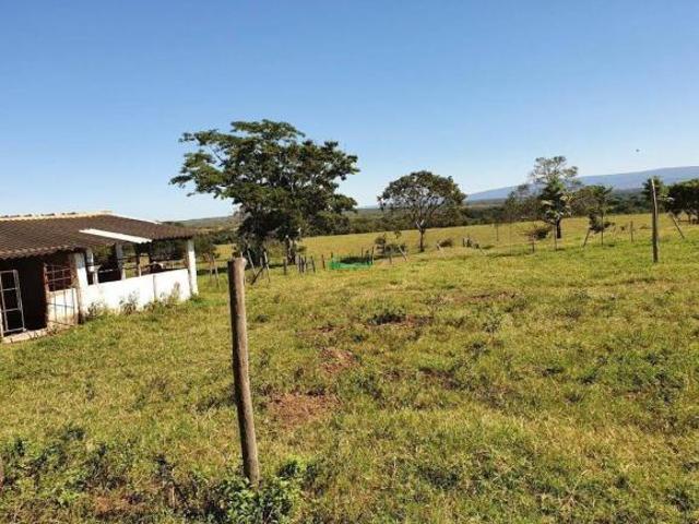 Sítio e chácara venda em Região Geográfica Imediata de Curvelo, Augusto de Lima