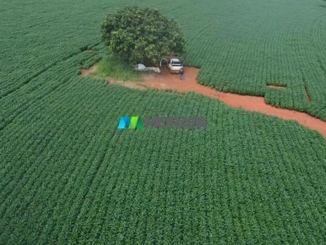 Sítio e chácara venda em Região Geográfica Imediata de Formiga, Bambuí
