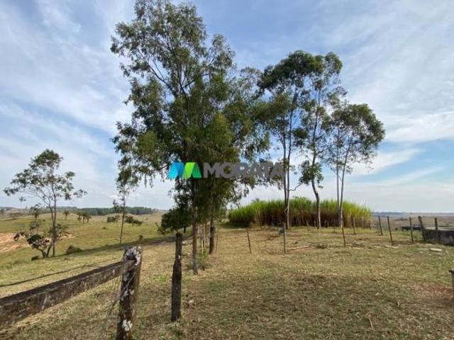 Sítio e chácara venda em Região Geográfica Imediata de Formiga, Bambuí
