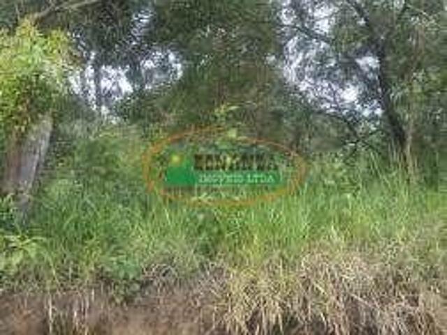 Sítio e chácara venda em Região Geográfica Imediata de Conselheiro Lafaiete, Conselheiro Lafaiete