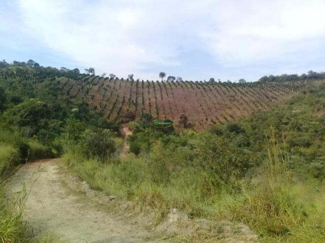 Terreno venda em Região Geográfica Imediata de Conselheiro Lafaiete, Belo Vale