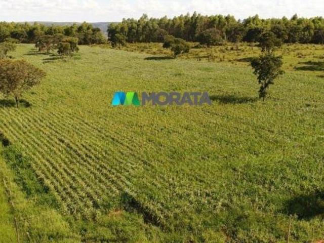 Sítio e chácara venda em Região Geográfica Imediata de Abaeté, Biquinhas