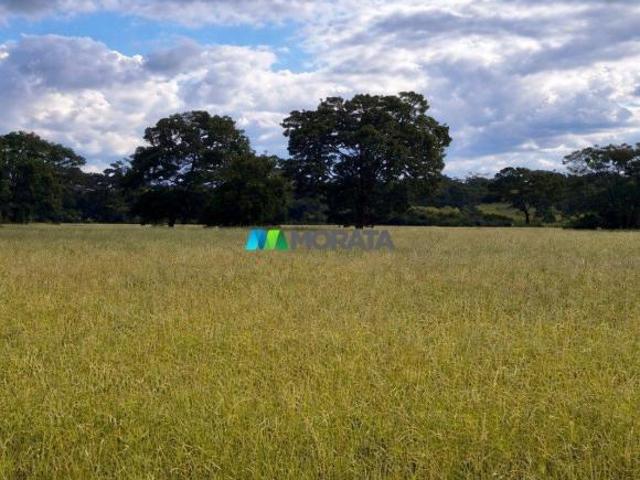Sítio e chácara venda em Região Geográfica Imediata de Montes Claros, Bocaiúva