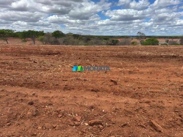 Sítio e chácara venda em Região Geográfica Imediata de Montes Claros, Bocaiúva