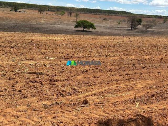 Sítio e chácara venda em Bocaiuva, Região Geográfica Intermediária de Montes Claros