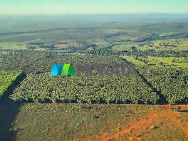 Sítio e chácara venda em Bocaiuva, Região Geográfica Intermediária de Montes Claros