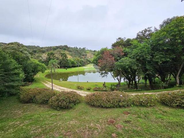 Sítio e chácara venda em Região Geográfica Imediata de Curitiba, Região Metropolitana de Curitiba